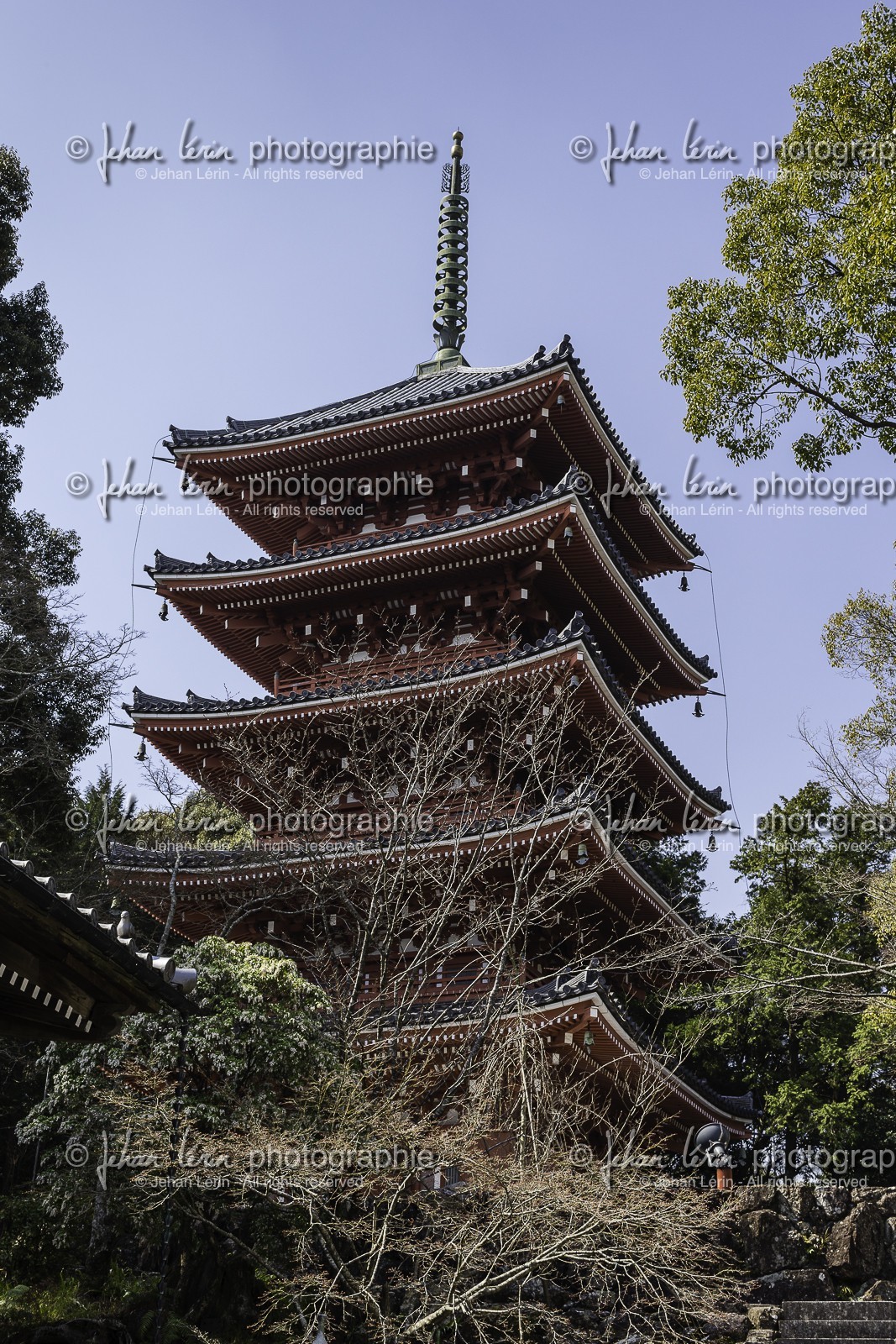 chikurinji_temple-31_shikoku_japon_17-03_2014-2692.jpg