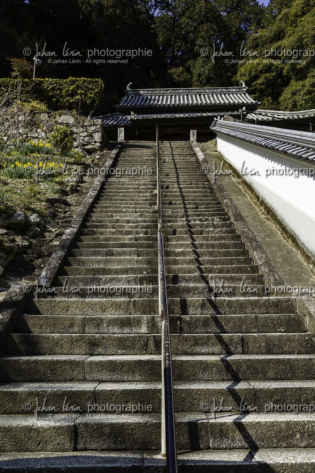 byodoji_temple-22_shikoku_japon_11-03_2014-0510.jpg