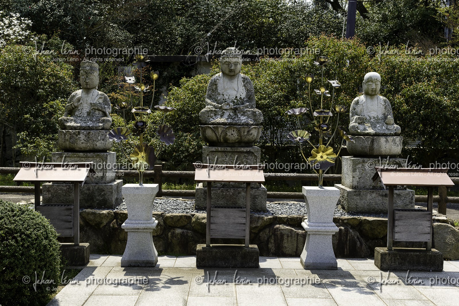 yashimaji_temple-84_shikoku_japon_10-04_2014-4561.jpg