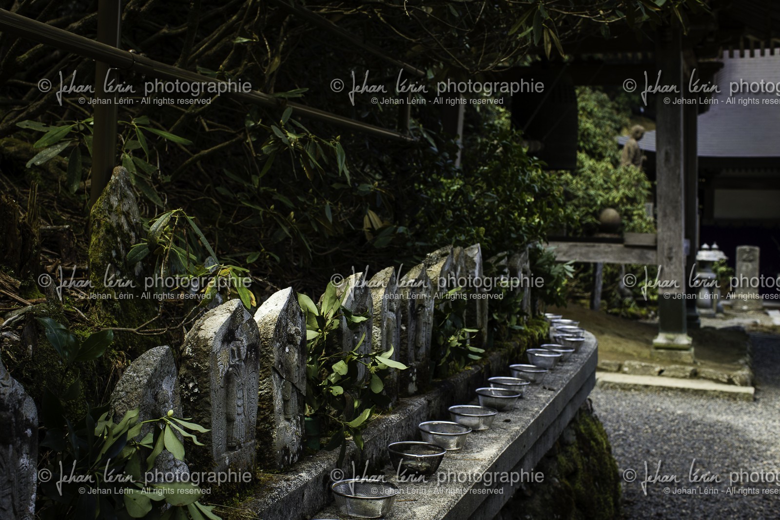yokomineji_temple-60_shikoku_japon_02-04_2014-3635.jpg