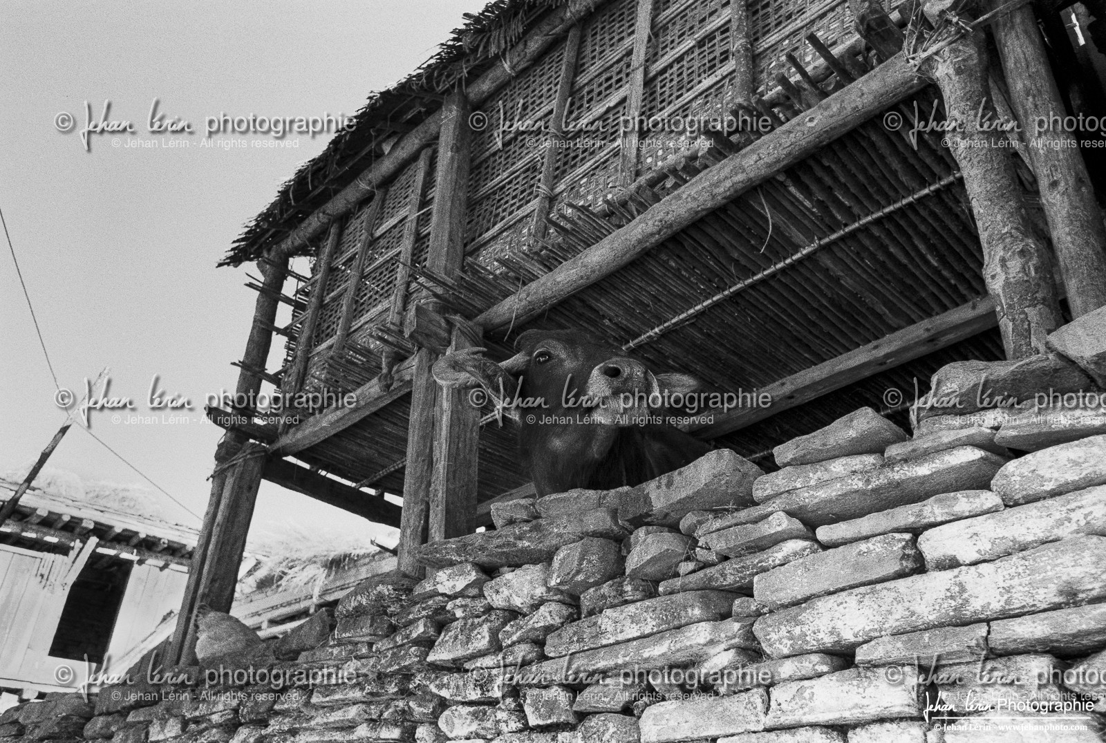 Grand Tour des Annapurnas 2004