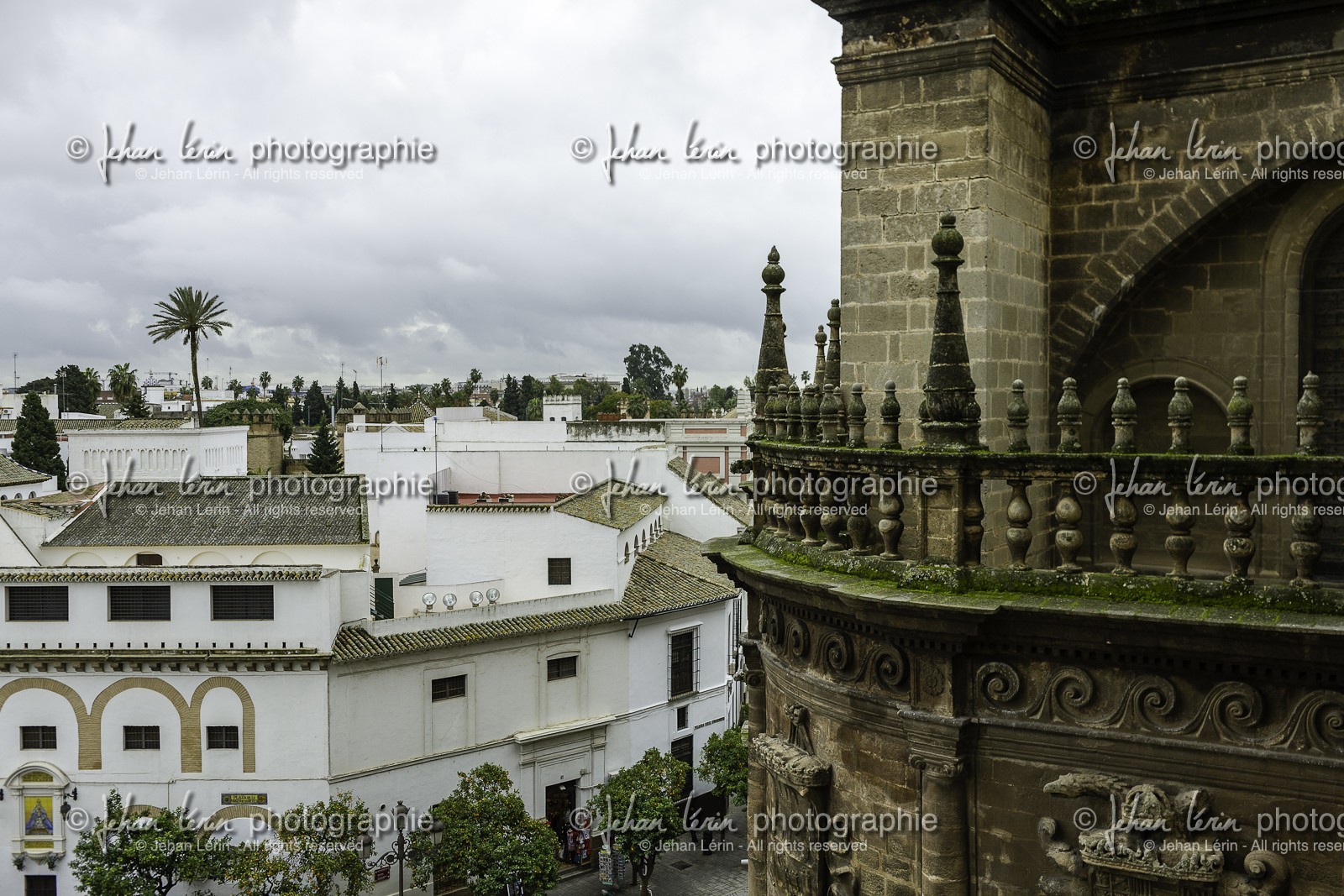 sevilla_19-01-2010-8000.jpg