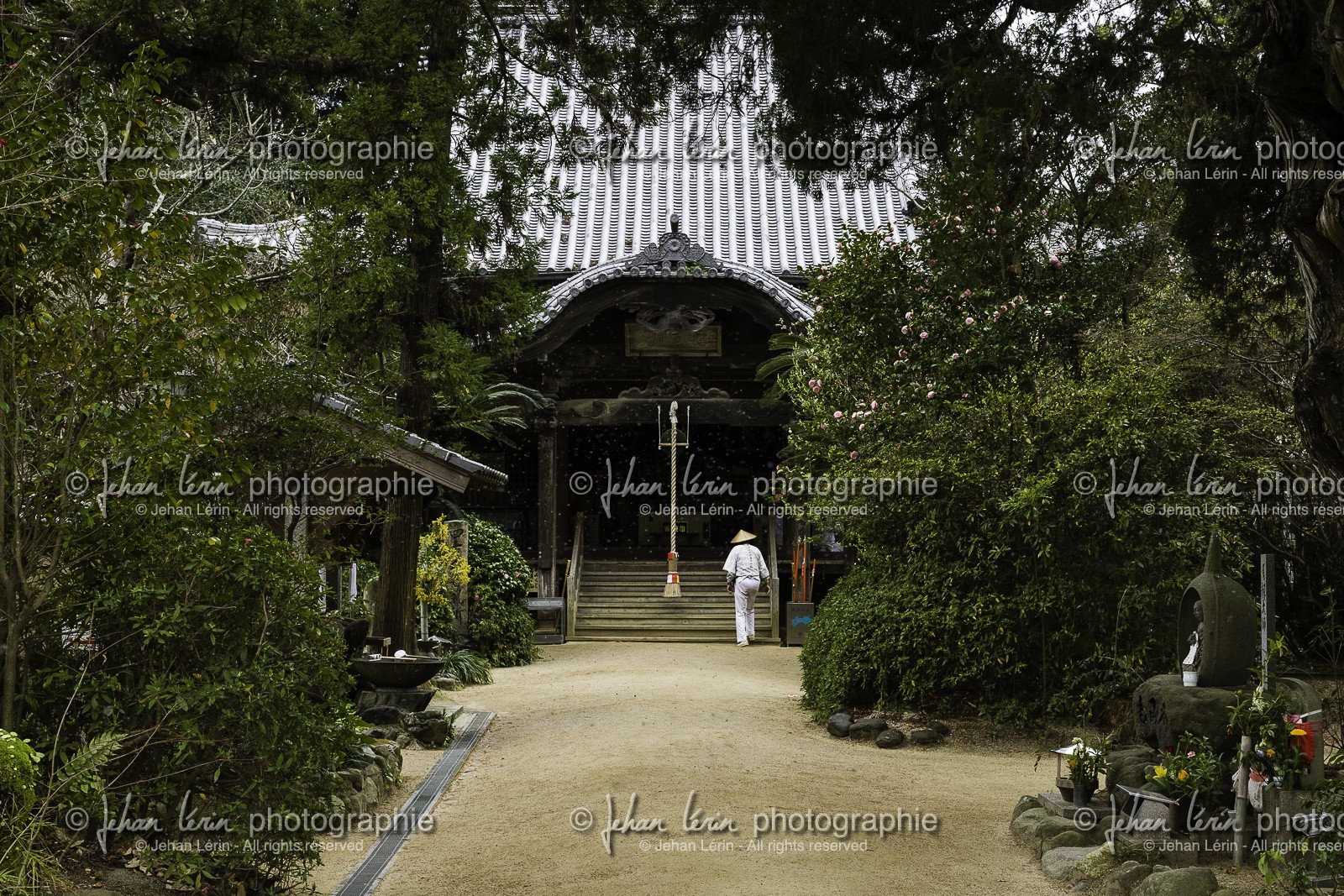 joruriji_temple-46_shikoku_japon_29-03_2014-3330.jpg