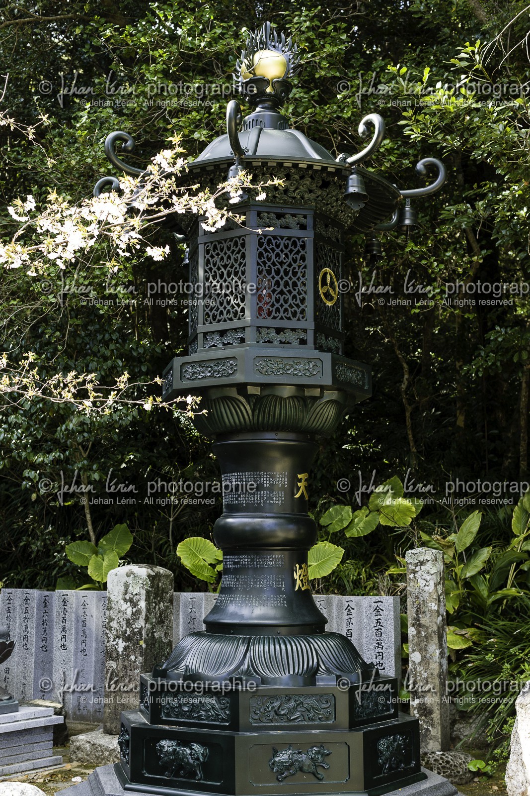 kongofukuji_temple-38_shikoku_japon_21-03_2014-2991.jpg