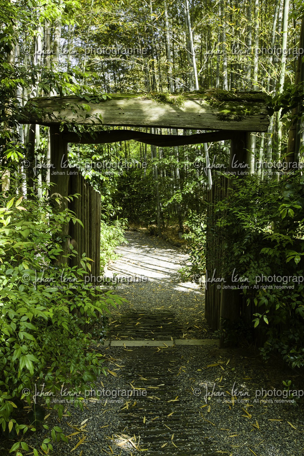 arashiyama_kyoto_japon_jl_5d3_10-05-2014-1703.jpg