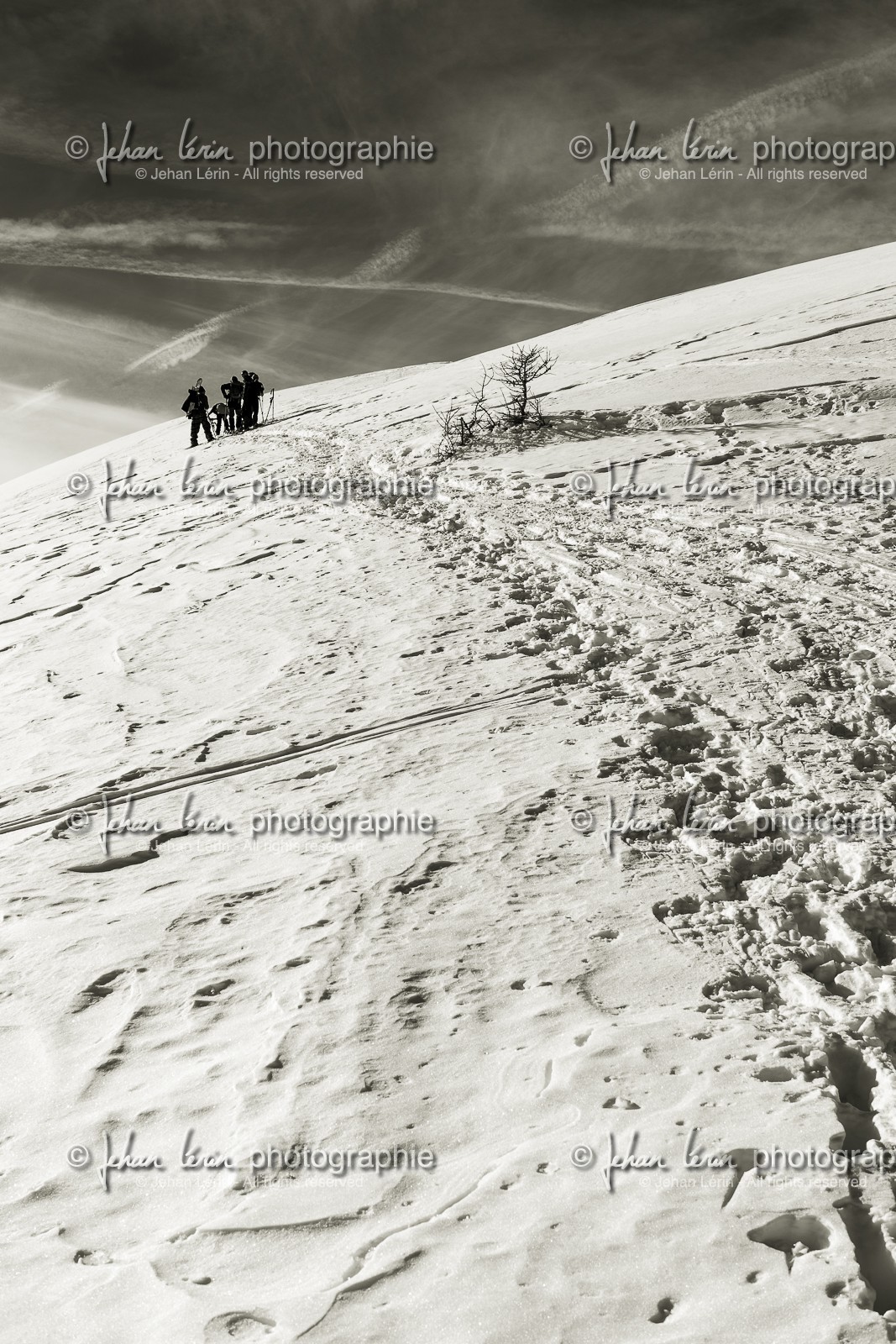 tete-merciere_isola-2000_mercantour_alpes-maritimes_france-4888.jpg tete-merciere_isola-2000_mercantour_alpes-maritimes_france-4888.jpg