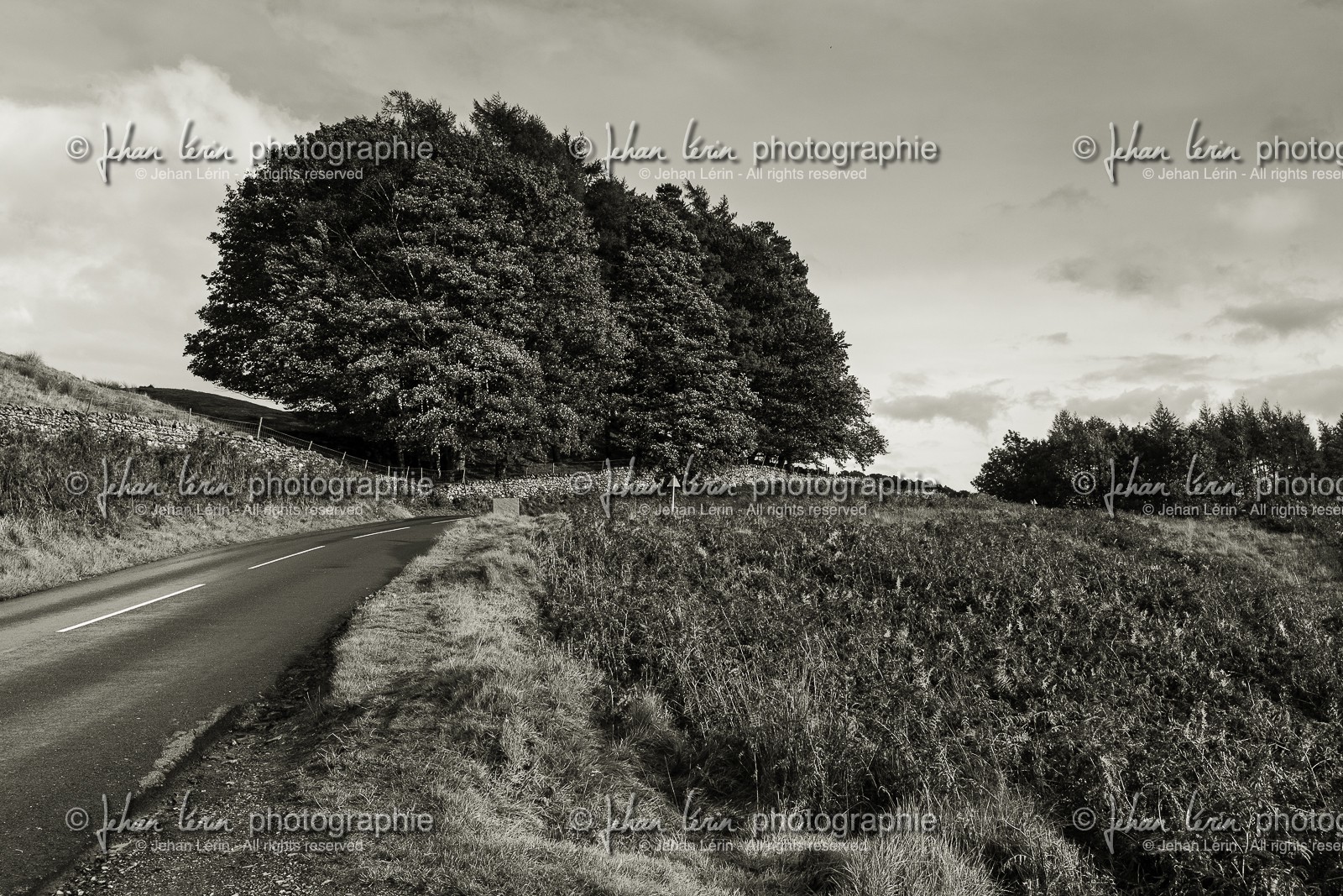 ambleside_lake-district-national-park_uk_oct-2012-2363-2.jpg