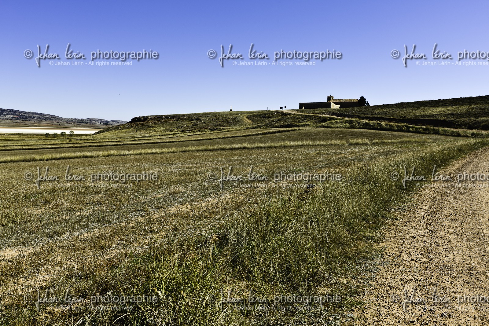 laguna-de-gallocanta_15-10-2009-5719.jpg