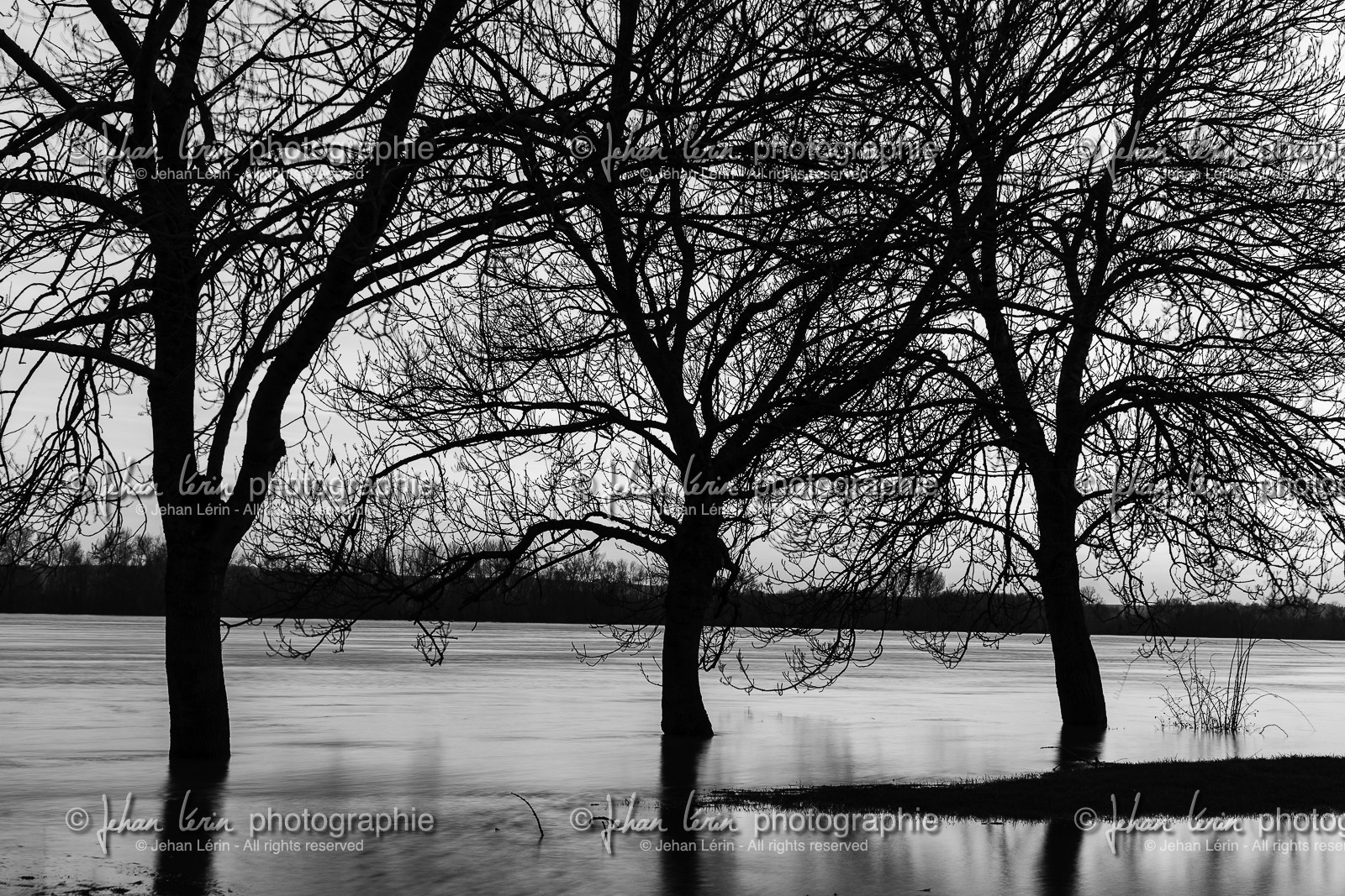 la-possonniere_maine-et-loire-_-france_23-12-2012-35635.jpg