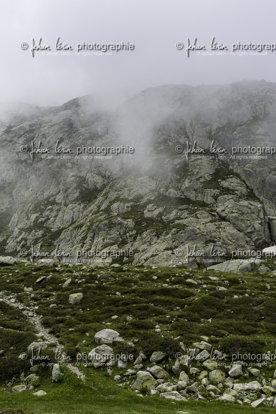 lac-autier_la-gordolasque_21-06-2015-5504.jpg
