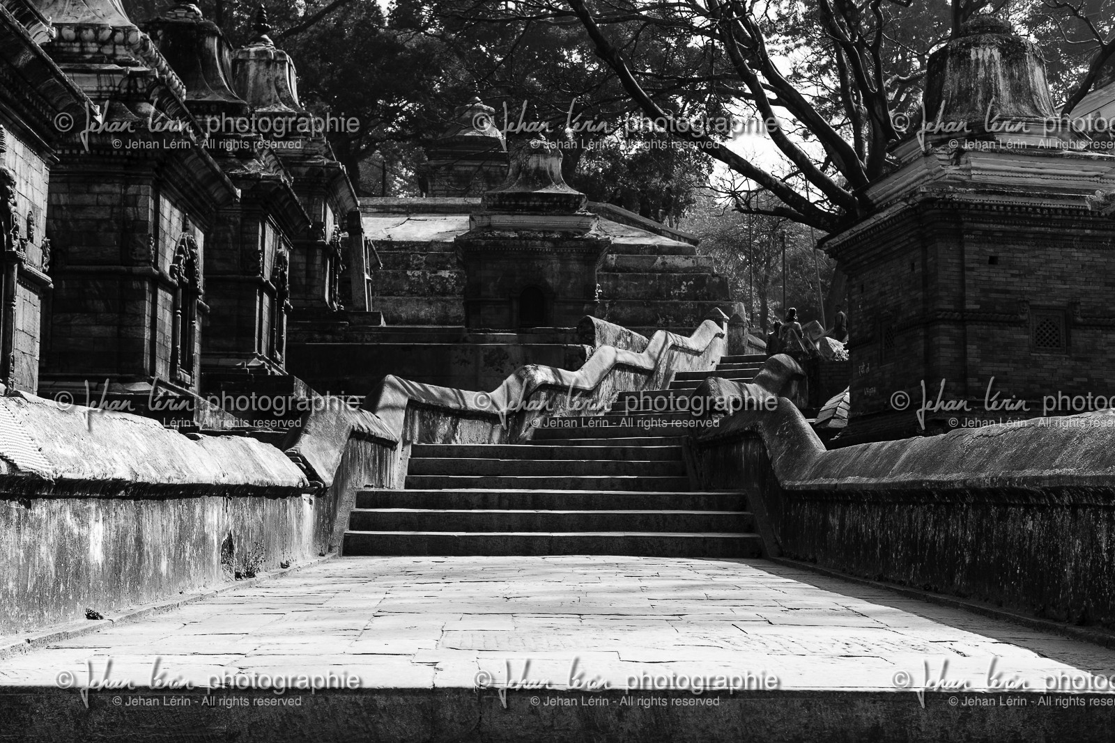 nepal_kathmandu_pashupatinath_10-02-2013-36295.jpg
