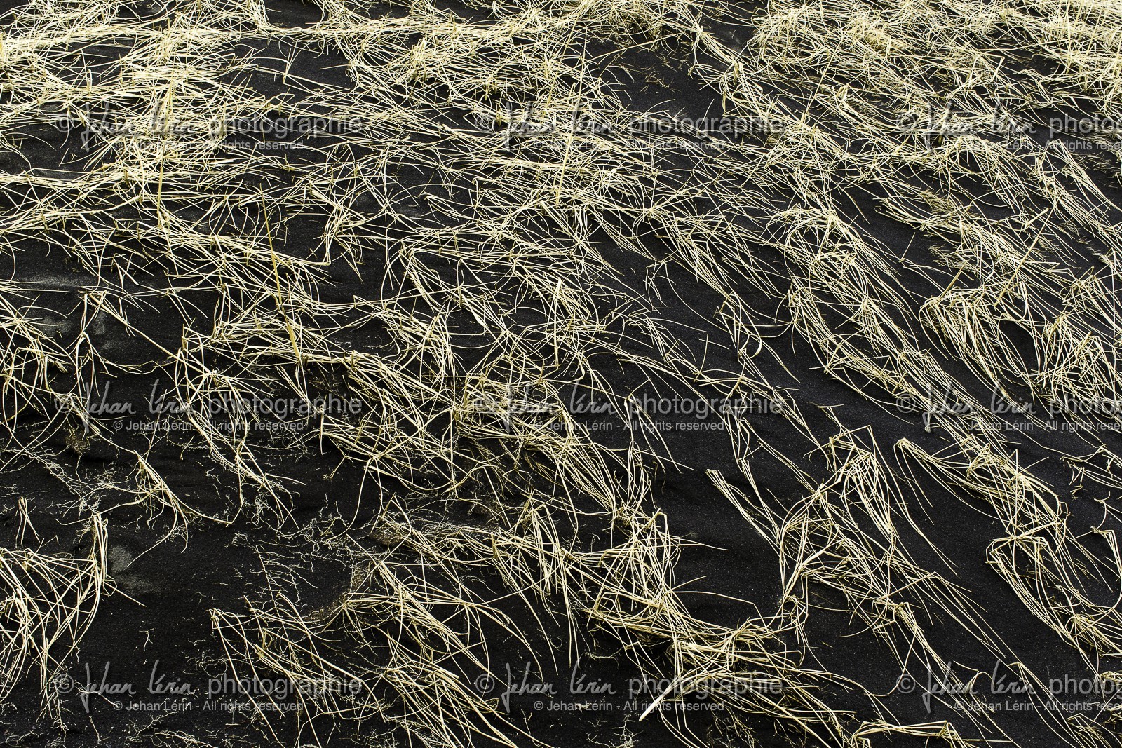 islande_19-03-2015-7907.jpg