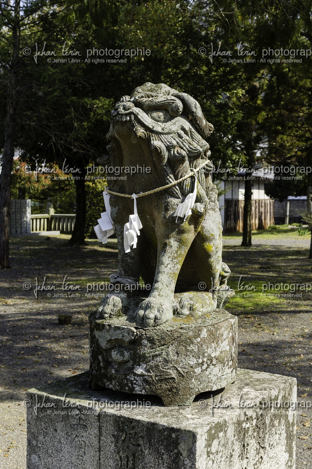 tennoji_temple-79_shikoku_japon_08-04_2014-4374.jpg