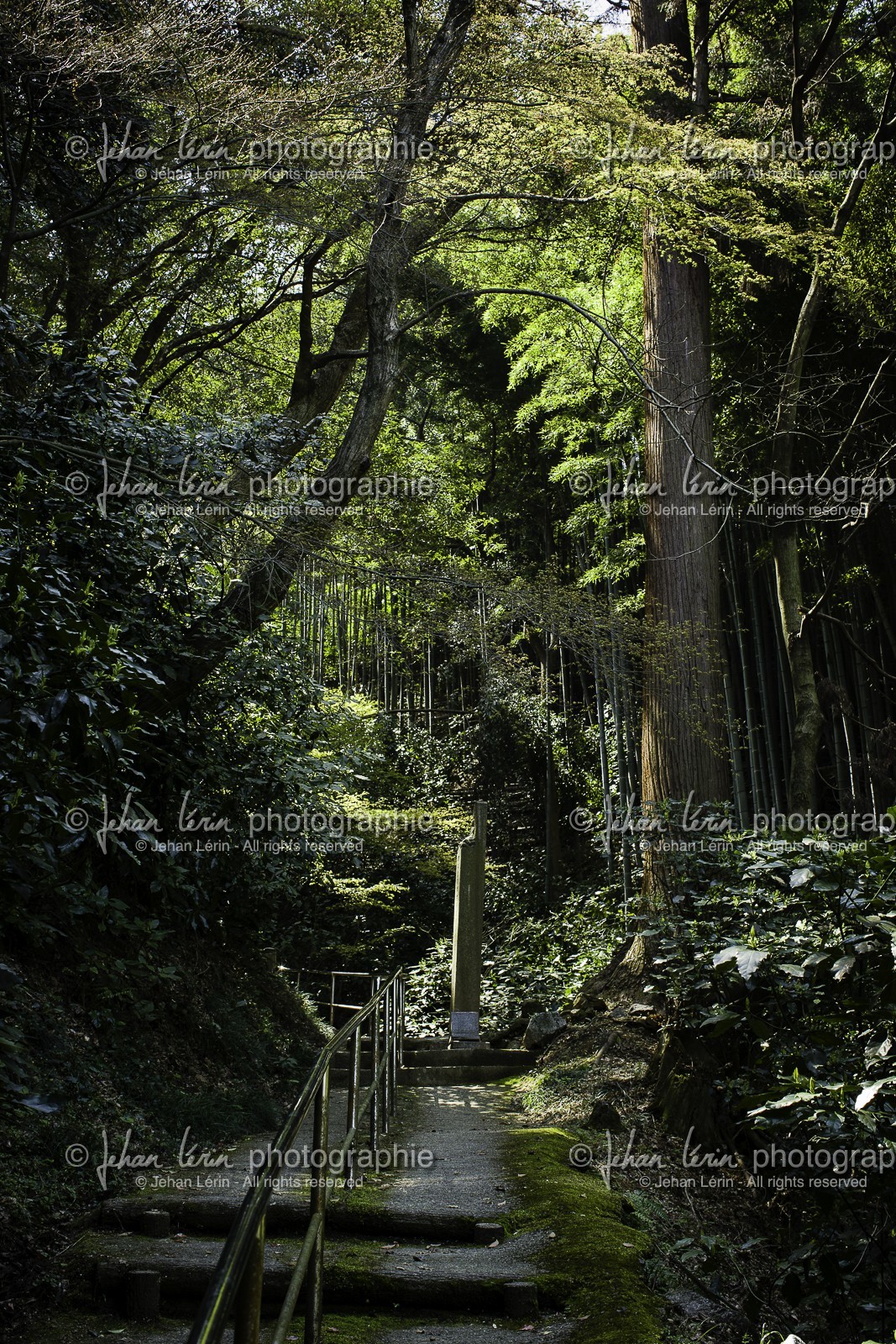 senyuji_temple-58_shikoku_japon_01-04_2014-3565.jpg