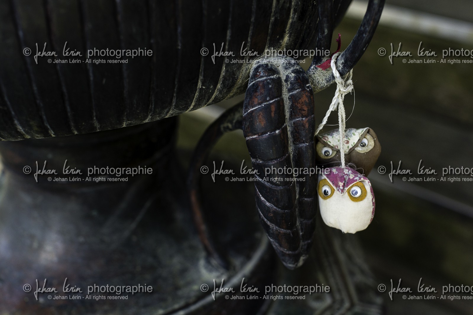 tairyuji_temple-21_shikoku_japon_11-03_2014-2341.jpg