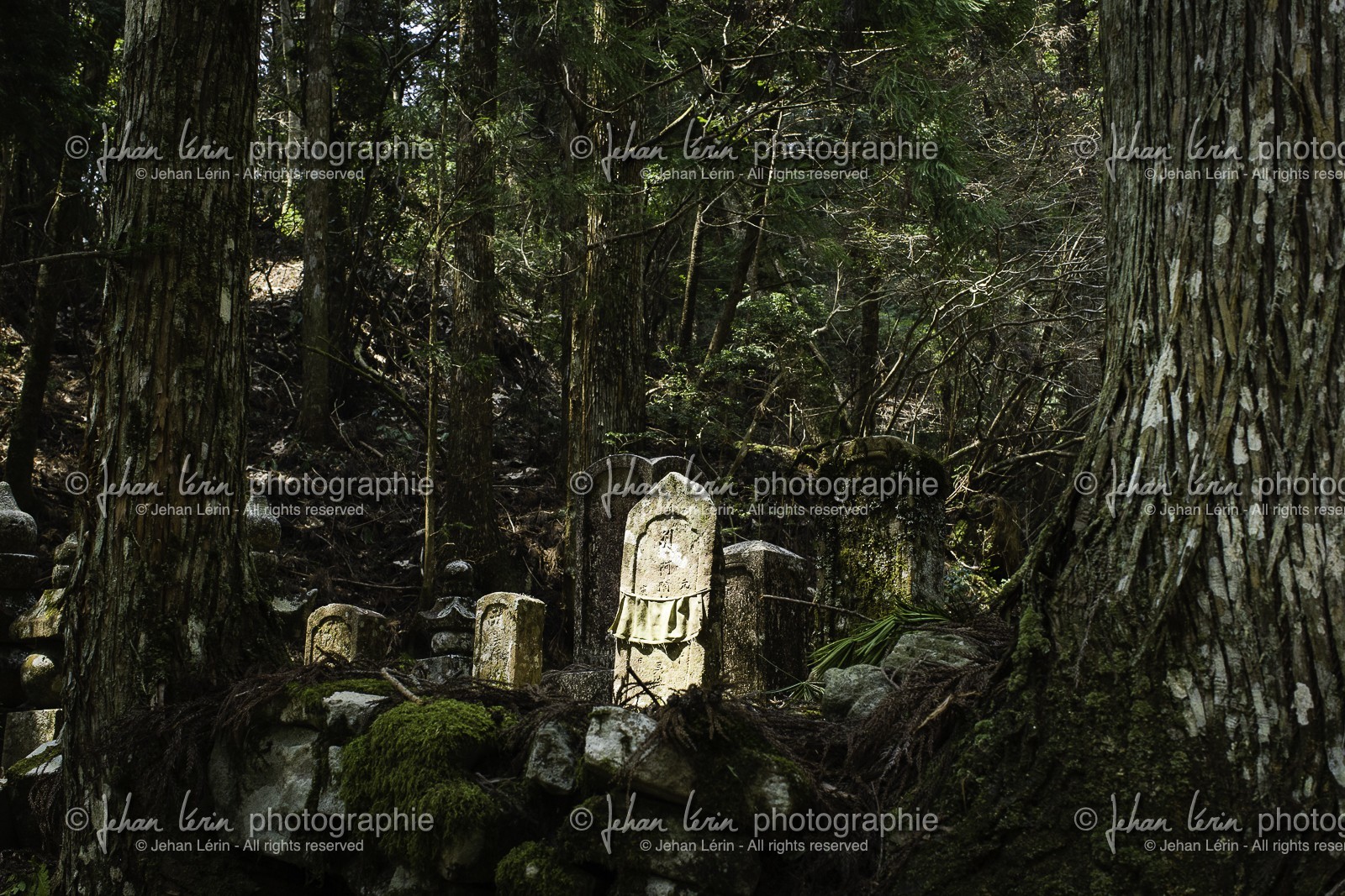 koyasan_japon_jl_1dx_17-04-2014-5243.jpg