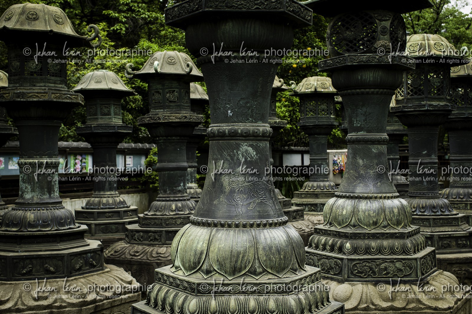 ueno_tokyo_japon_jl_1dx_05-05-2014-6261.jpg