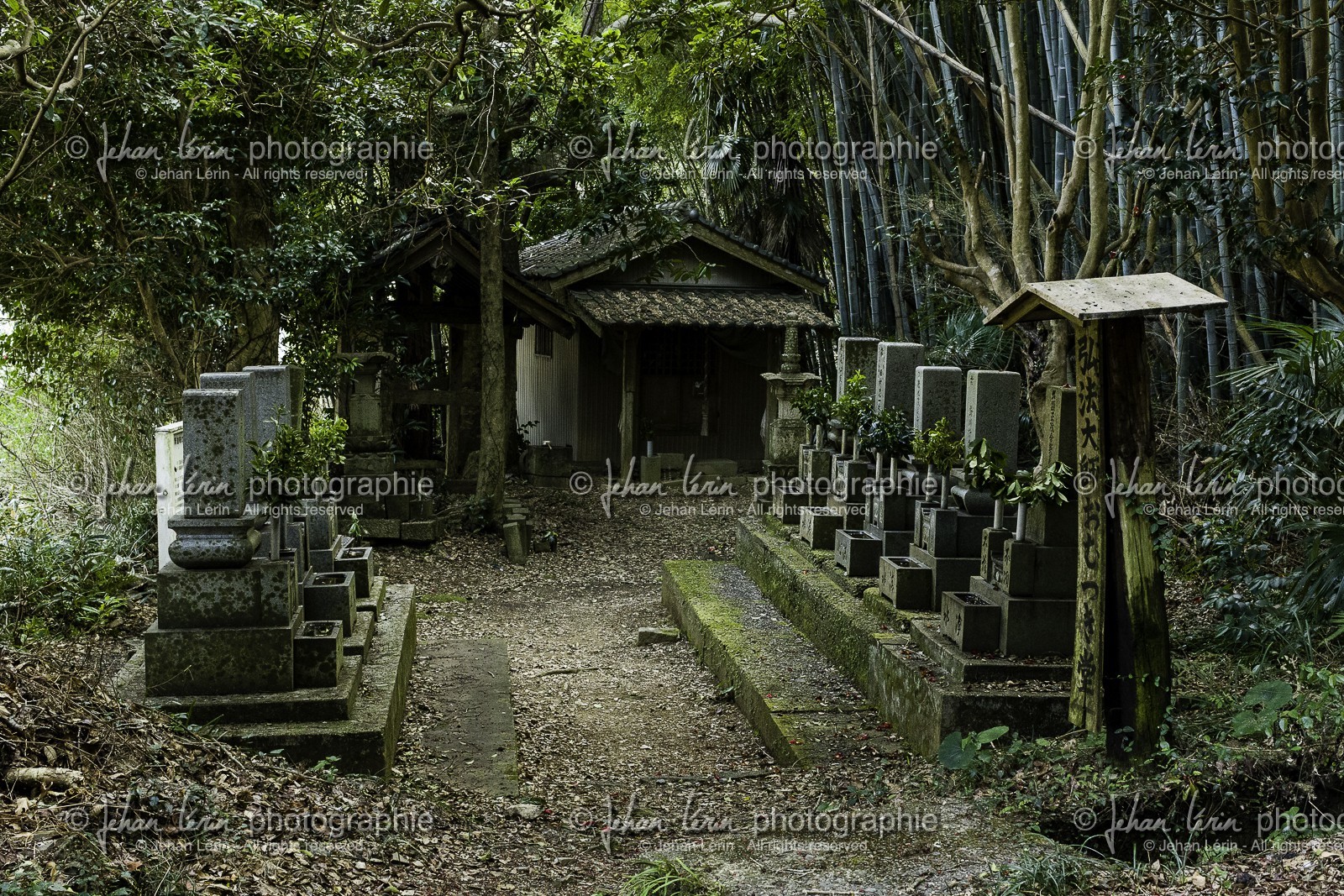 en-route-vers_temple-19_shikoku_japon_09-03_2014-2205.jpg