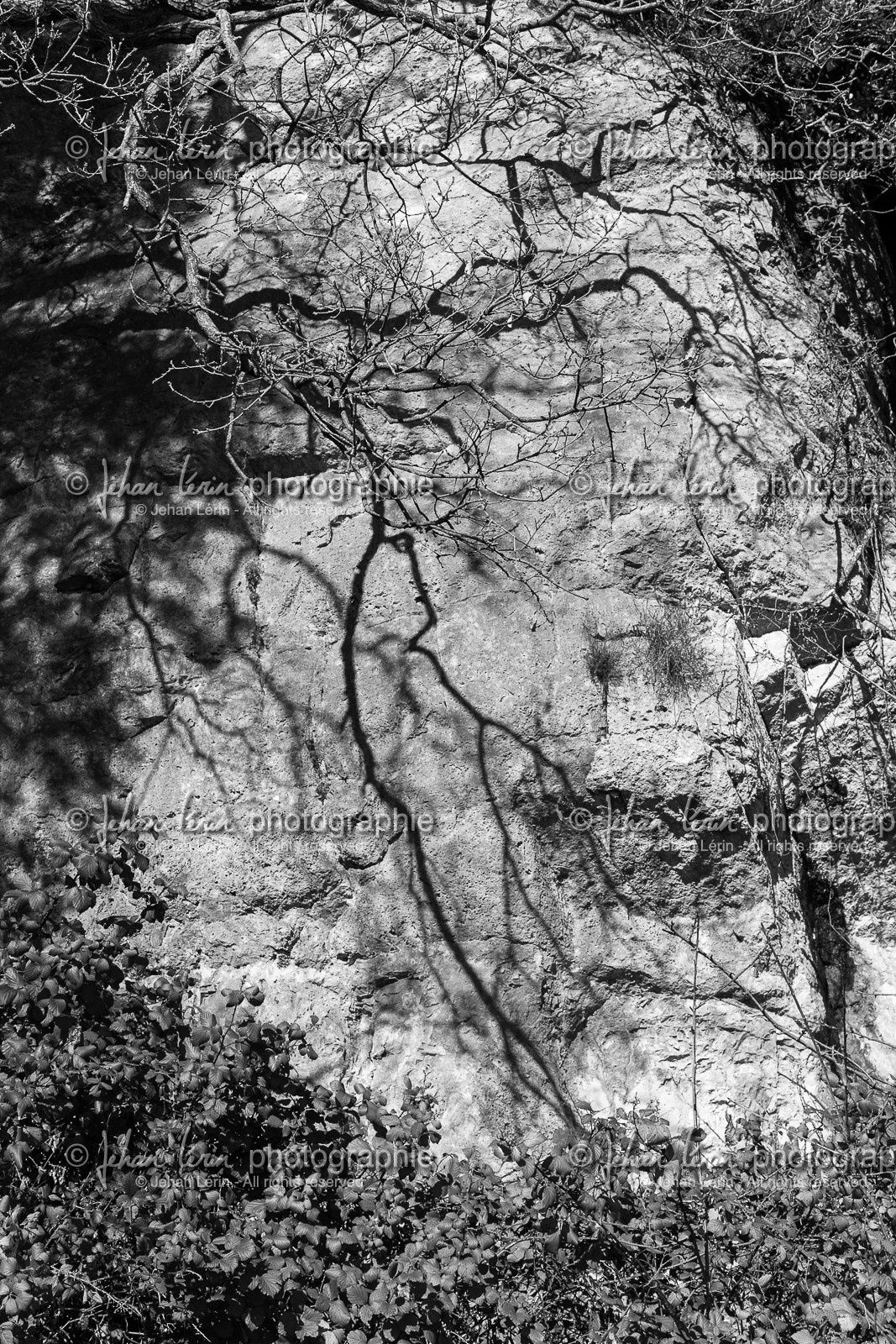 gourdon_jl_1dx_06-02-2017-0596.jpg
