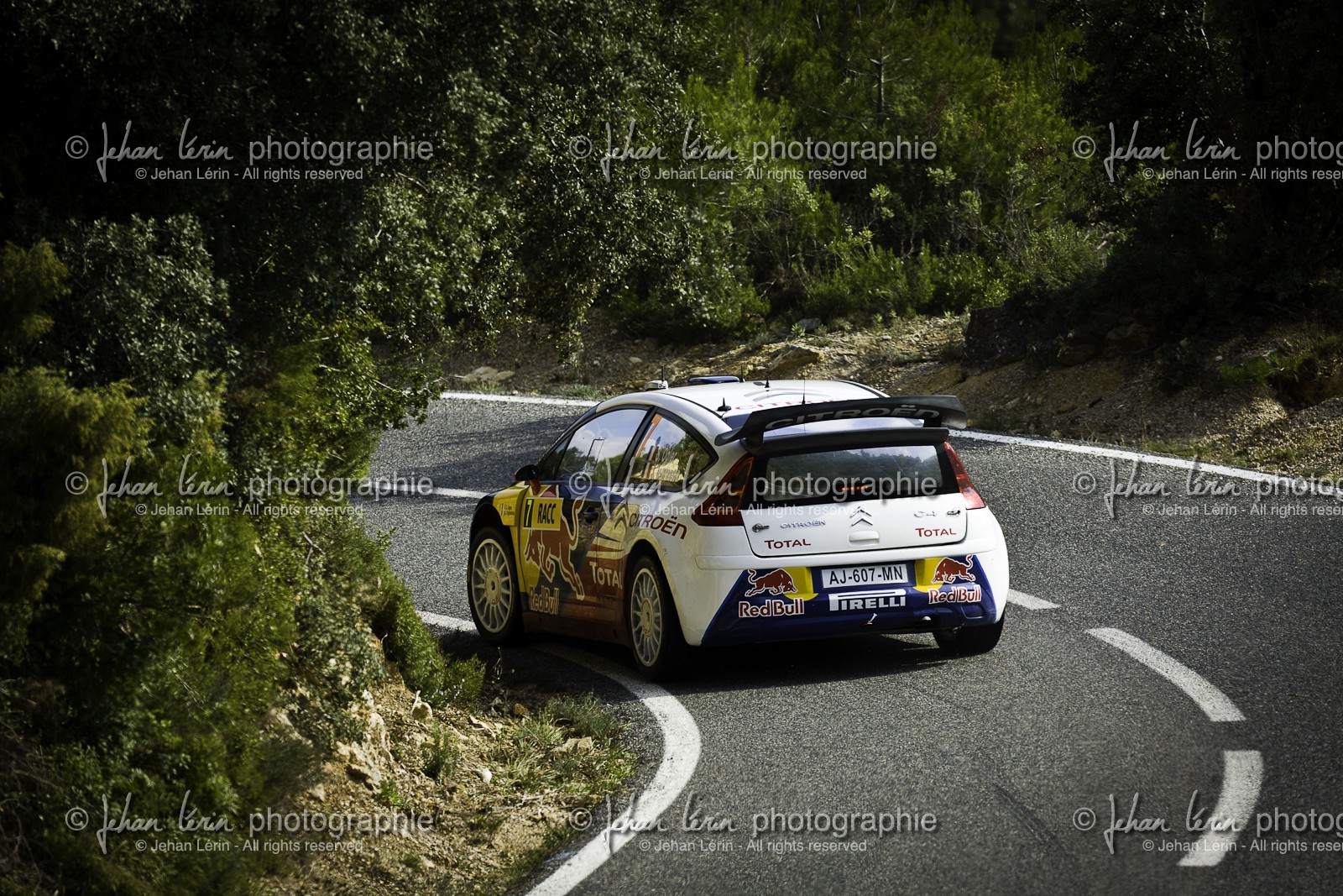 raac-2010-4197.jpg