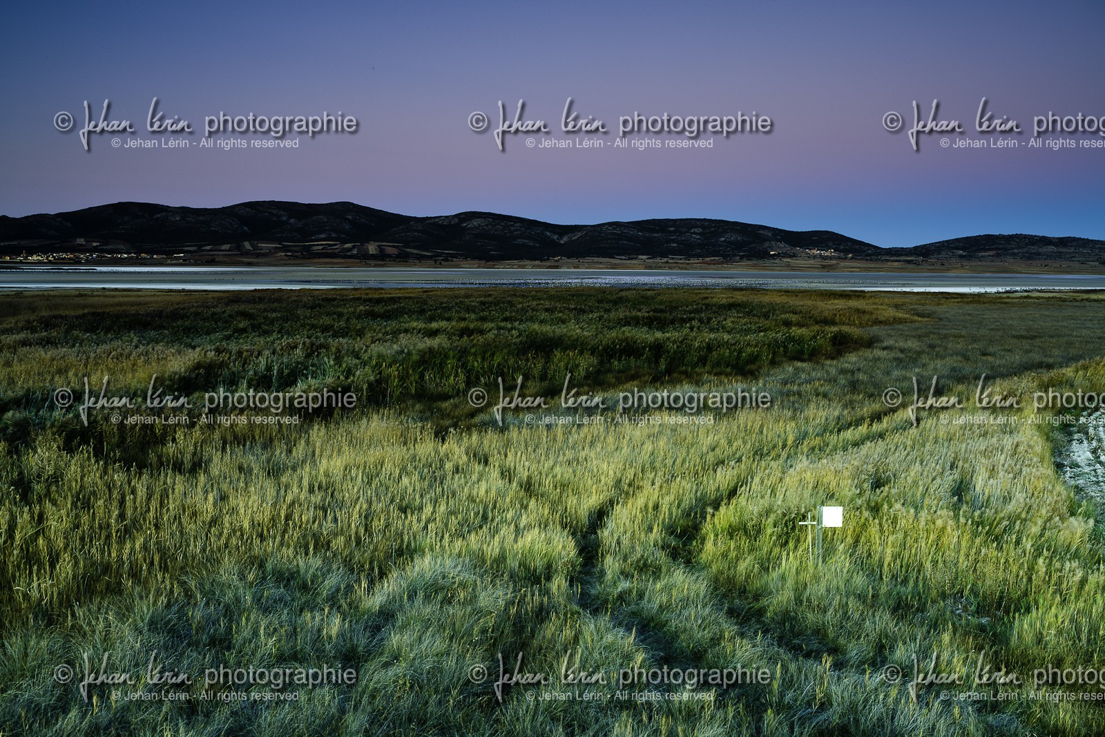 laguna-de-gallocanta_15-10-2009-5913.jpg