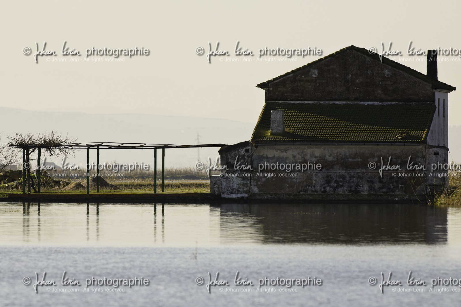 l-albufera_valencia_18-01-2012-0046.jpg