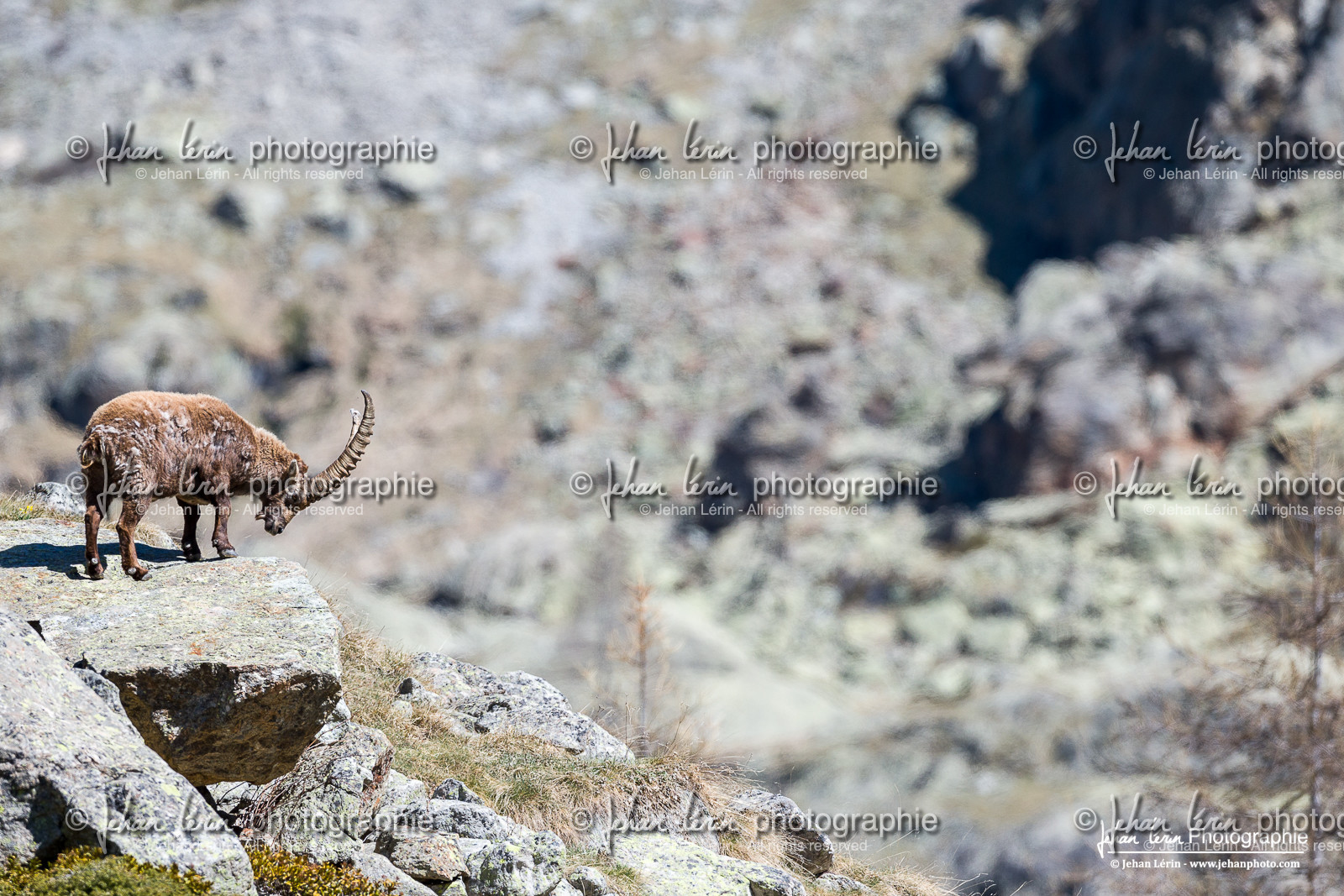 la-gordolasque_mercantour_jehan-lerin_jl_1dx_27-04-2023-0175.jpg