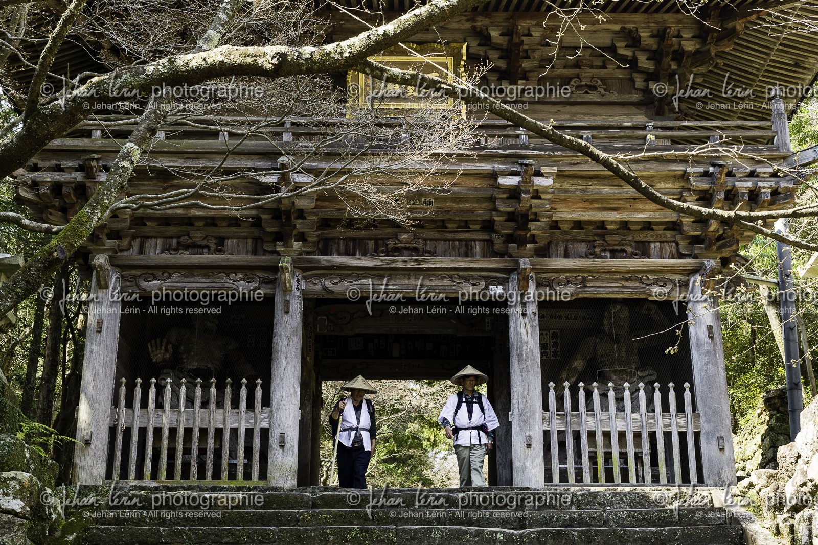 chikurinji_temple-31_shikoku_japon_17-03_2014-2716.jpg
