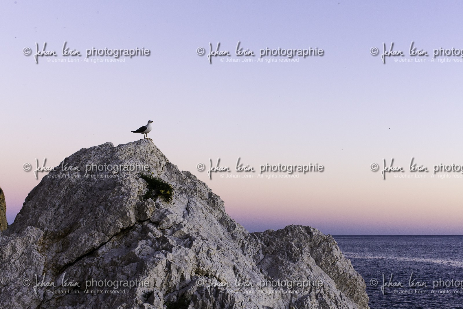 caple_penon-d-ifac_08-12-2012-35366.jpg