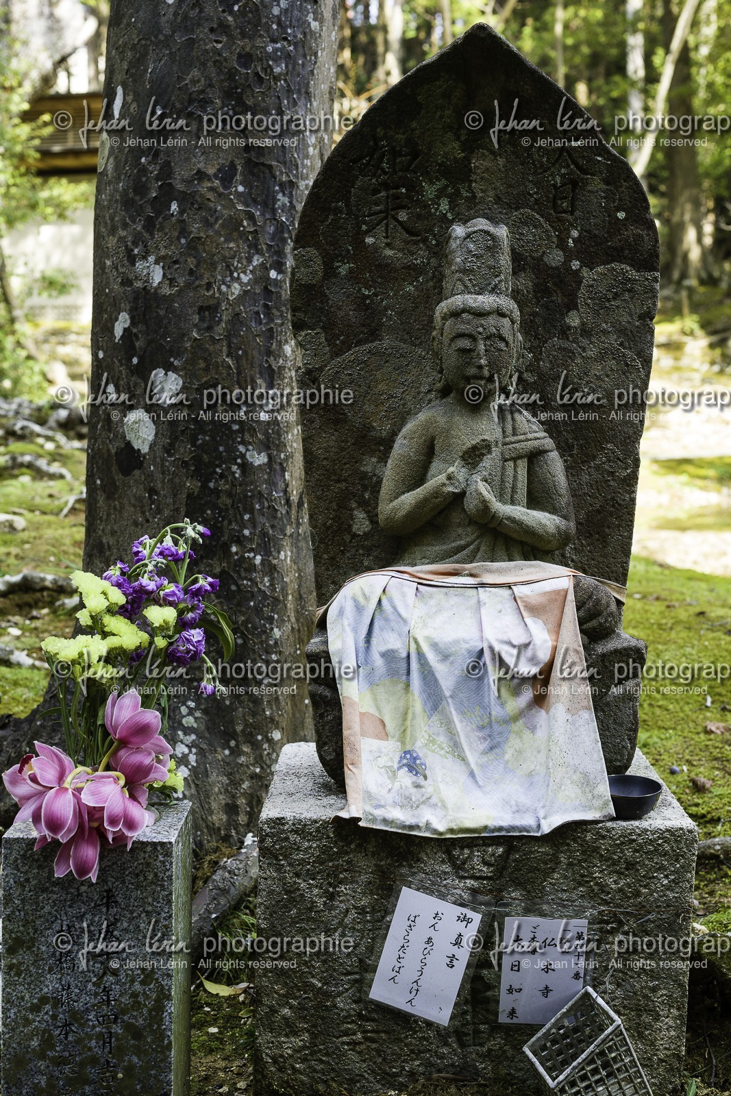 chikurinji_temple-31_shikoku_japon_17-03_2014-2665.jpg chikurinji_temple-31_shikoku_japon_17-03_2014-2665.jpg