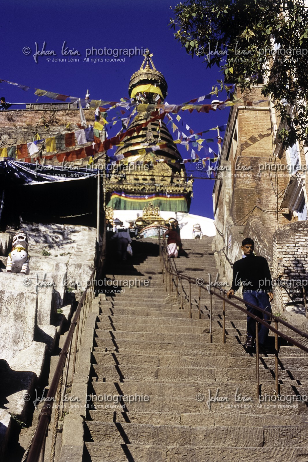 nepal_katmandou_02-2006_2.jpg