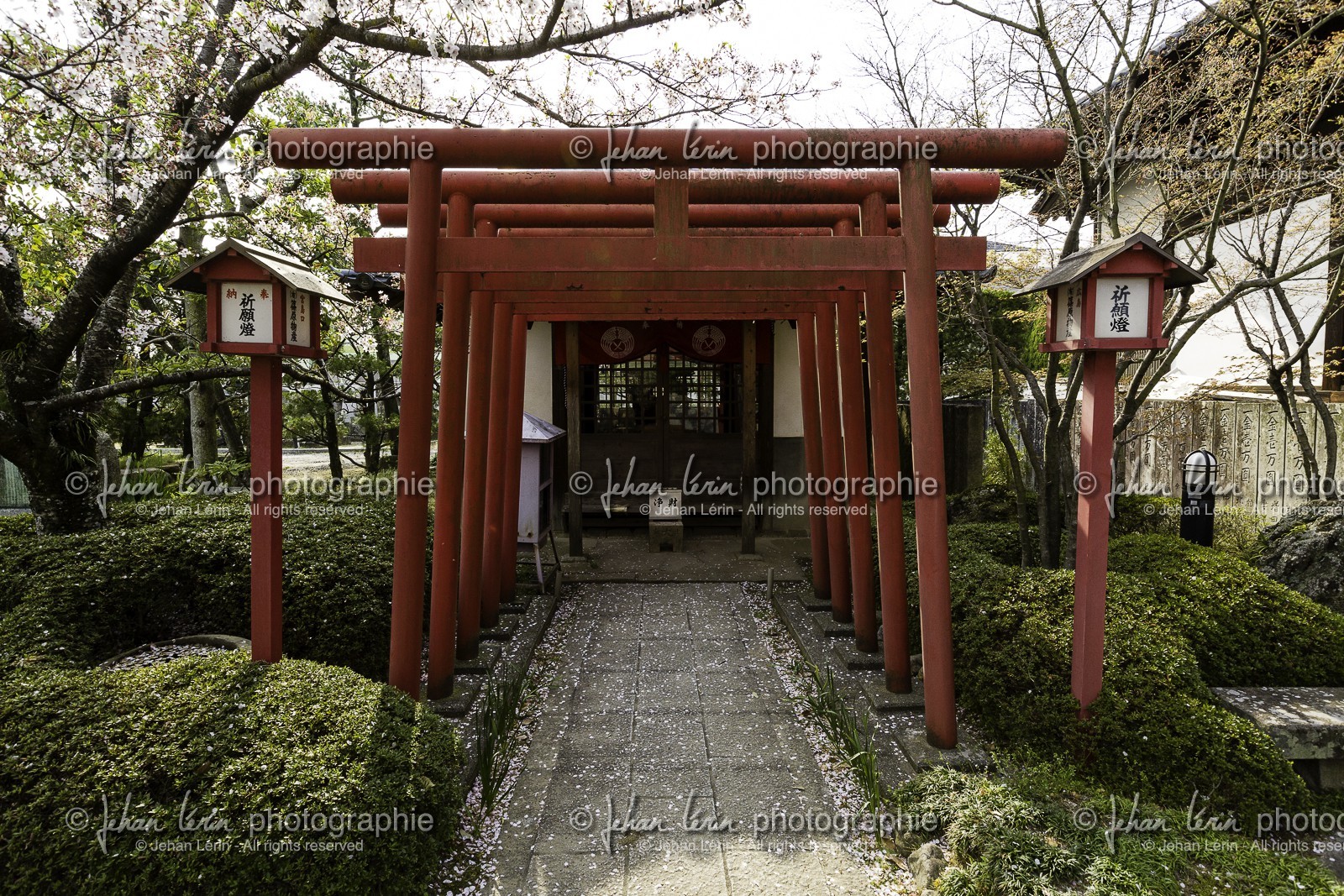 ichinomiyaji_temple-83_shikoku_japon_09-04_2014-1140.jpg