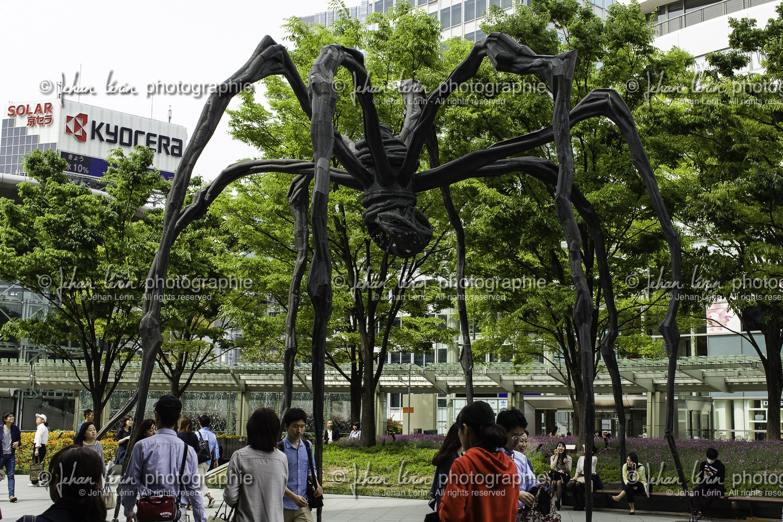 roppongi_tokyo_japon_jl_1dx_04-05-2014-6123.jpg
