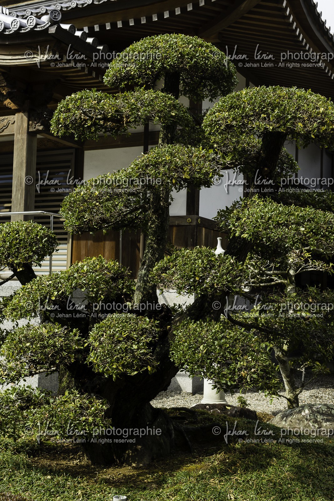 jizoji_temple-5_shikoku_japon_05-03_2014-1794.jpg