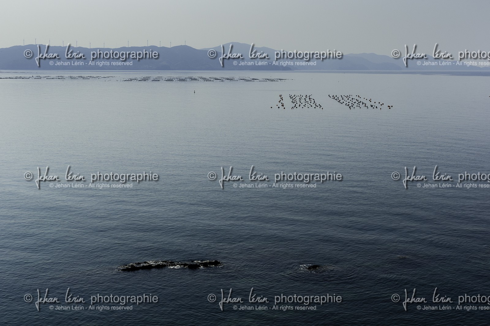 en-route-vers_temple-40_shikoku_japon_23-03_2014-3043.jpg