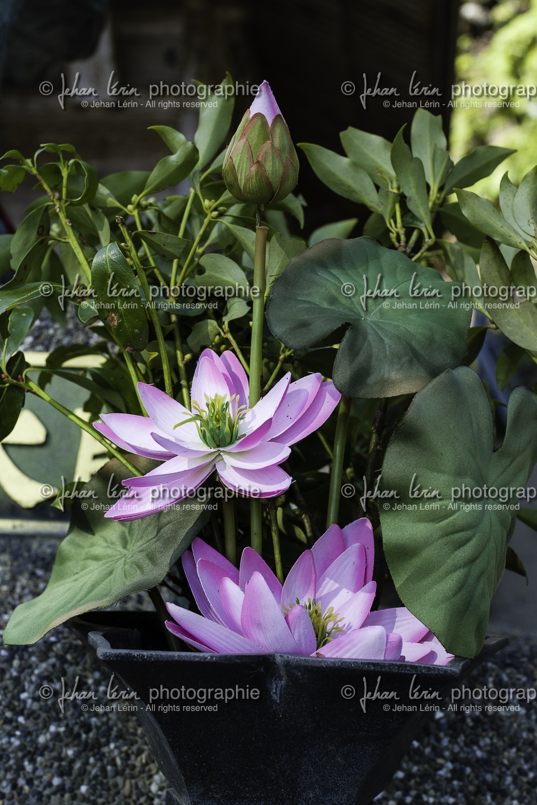 konomineji_temple-27_shikoku_japon_15-03_2014-2553.jpg