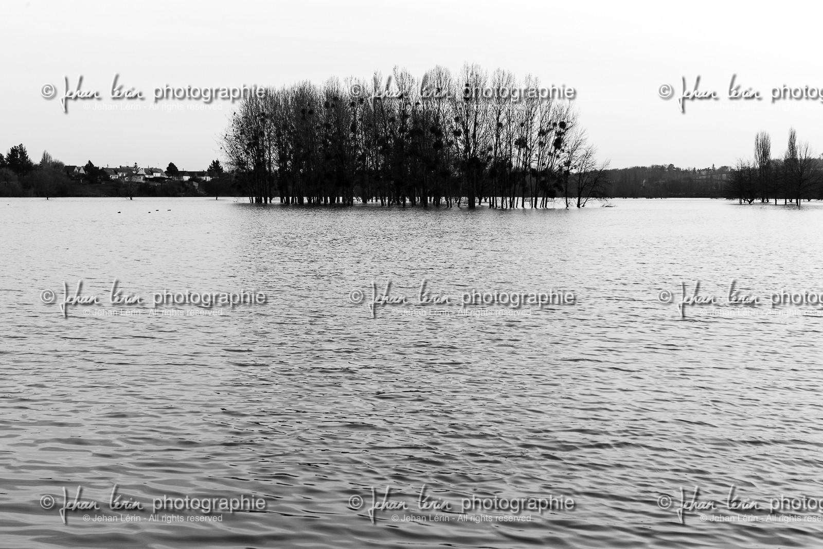 la-possonniere_maine-et-loire-_-france_23-12-2012-35619.jpg