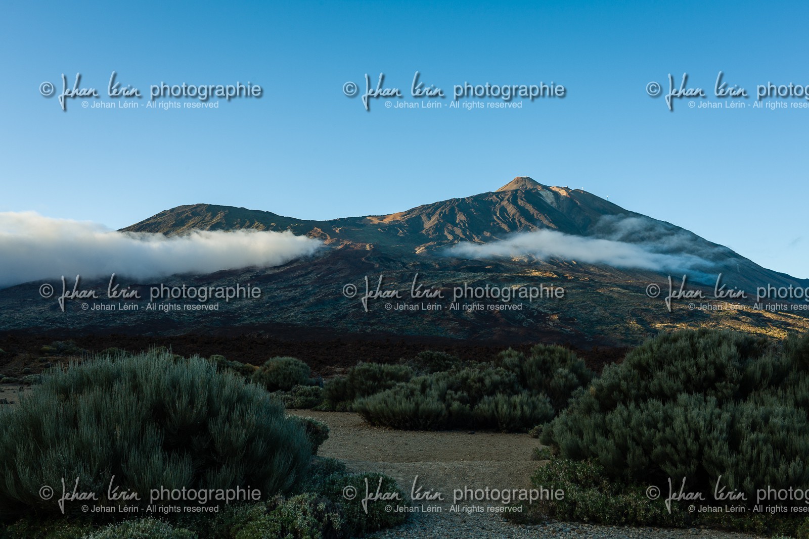 tenerife_mars-2008-0092.jpg