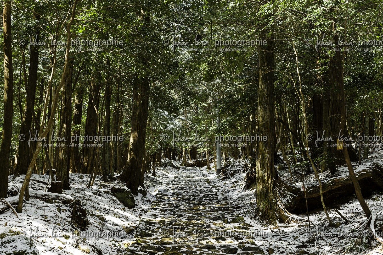 en-route-vers_kakurinji_temple-20_shikoku_japon_10-03_2014-2278.jpg