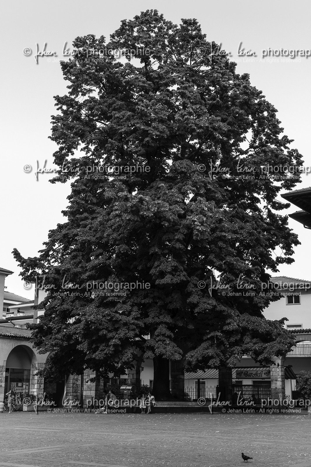 riva-di-garda_lac-de-garde_italia_11-08-2013-3900.jpg