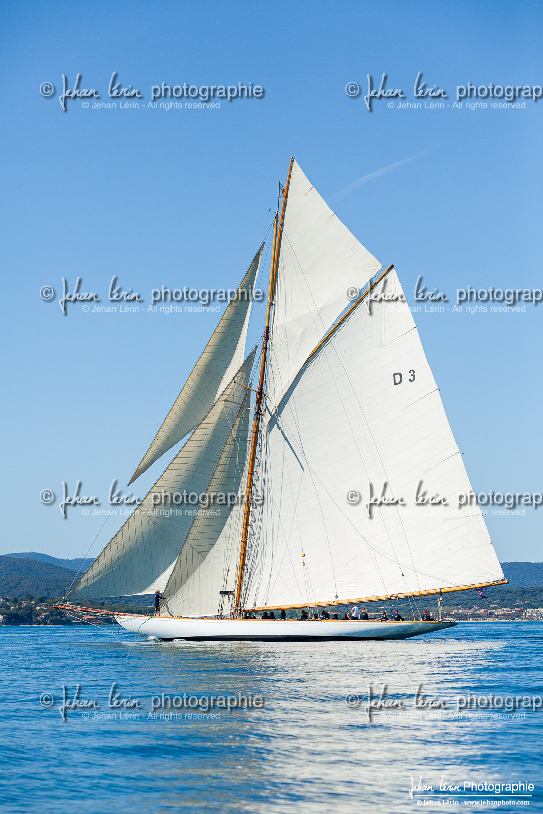 Les Dames de St Tropez 2025 Les Dames de St Tropez 2025