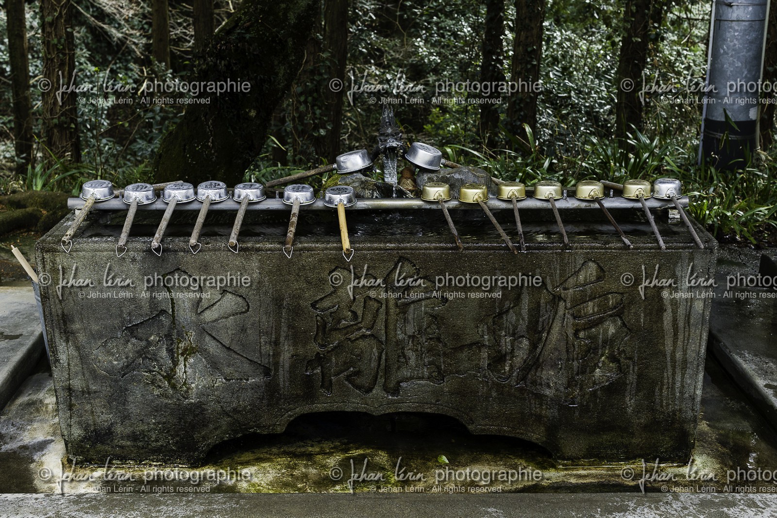 kumadaniji_temple-8_shikoku_japon_06-03_2014-1856.jpg