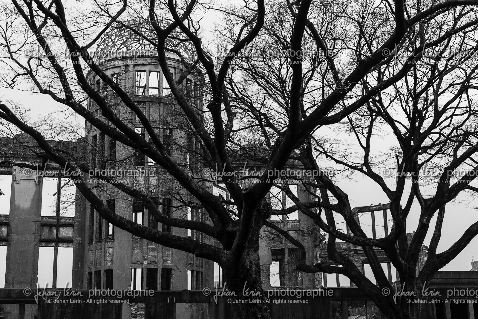hiroshima_japon_26-03_2014-3158-2.jpg