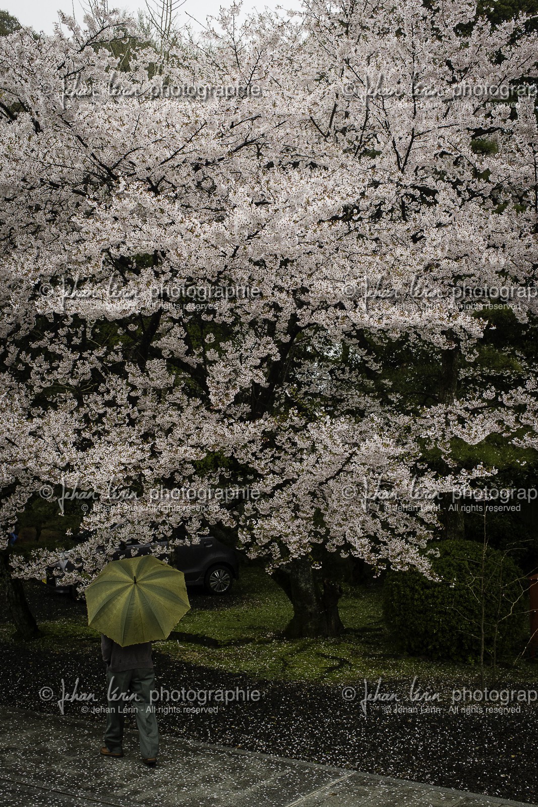 daikoji_temple-67_shikoku_japon_05-04_2014-3905.jpg