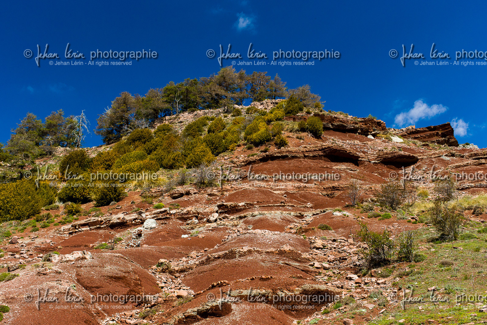 trek-loueve-dome-du-barrot-amen-loueve_alpes-maritimes_1dx_05-05-2016-2709.jpg trek-loueve-dome-du-barrot-amen-loueve_alpes-maritimes_1dx_05-05-2016-2709.jpg