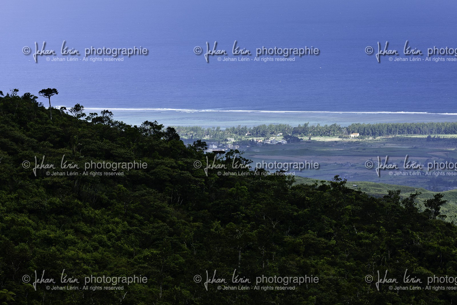 ile-maurice_aout-2009-4076.jpg