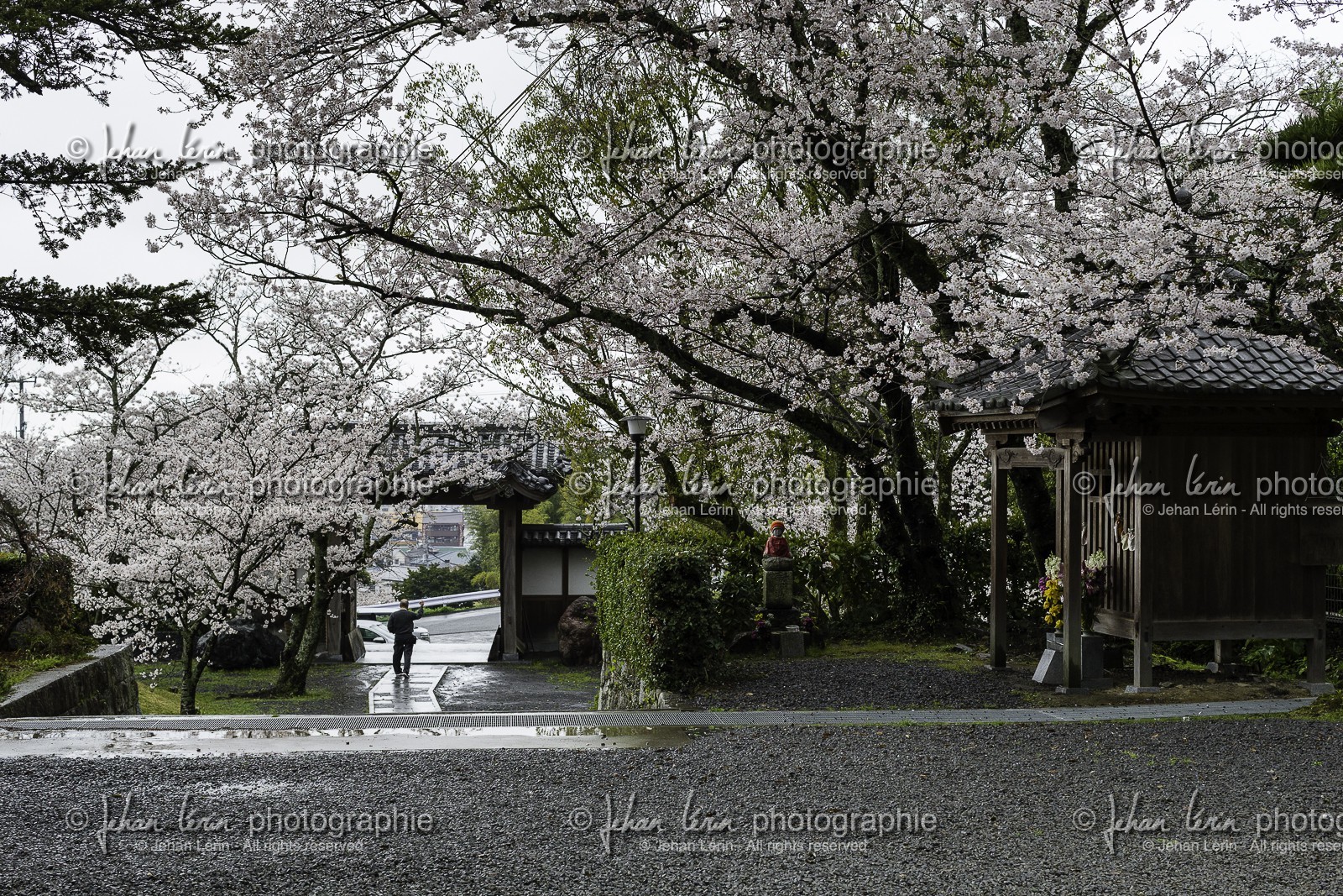 hantaji_temple-50_shikoku_japon_30-03_2014-3441.jpg