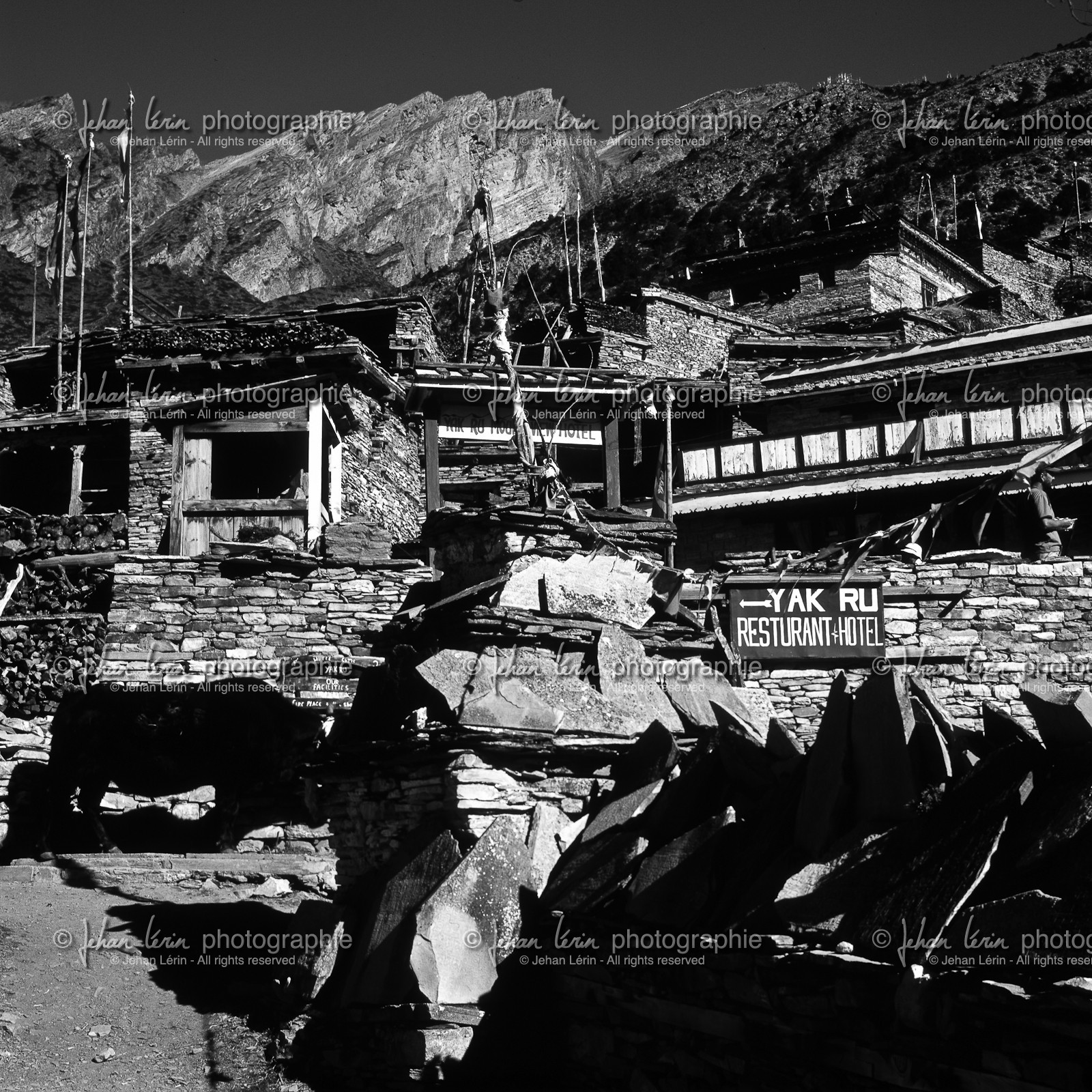 nepalhd-color-_nb-120.jpg