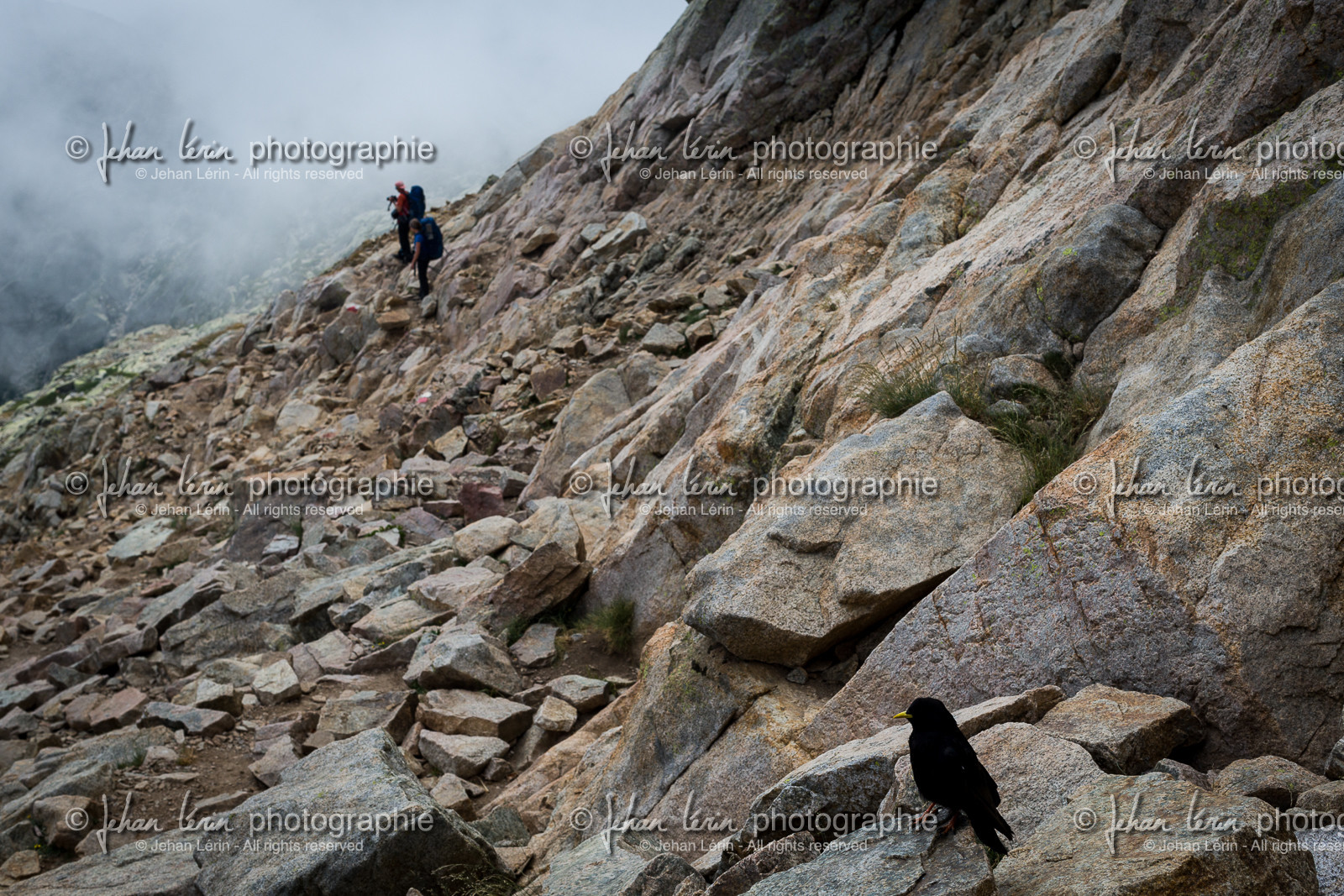 gr20_corse_jl_1dx_24-07-2016-0859.jpg