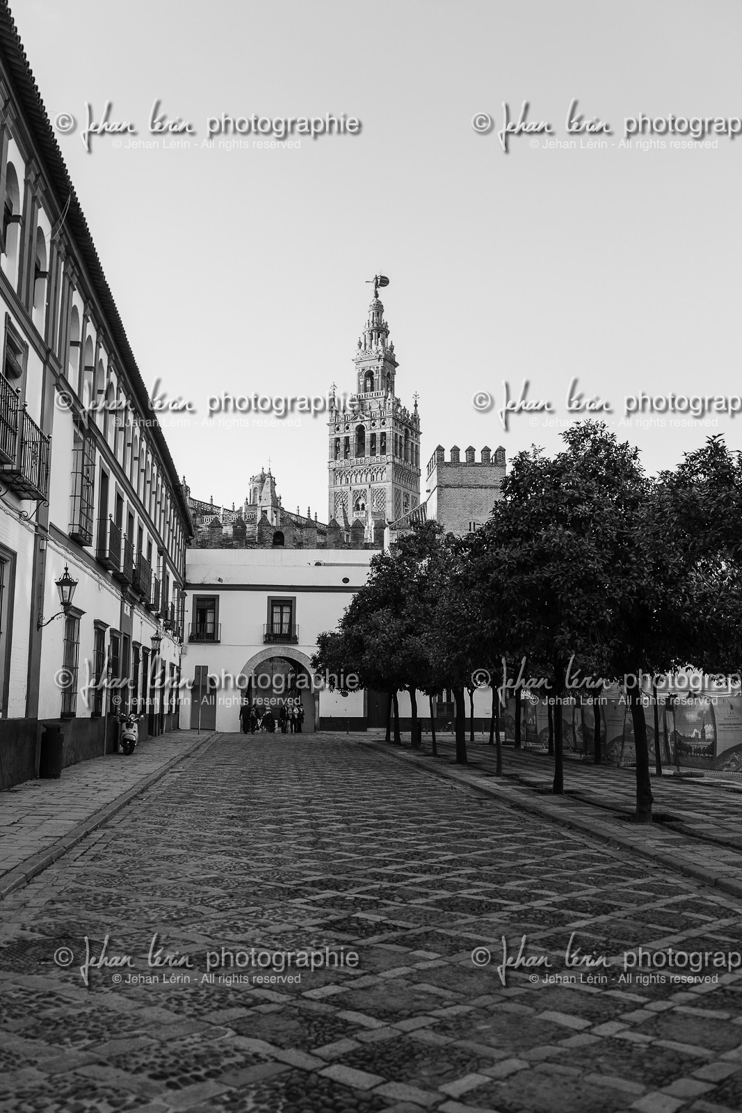 sevilla_19-01-2010-8277.jpg